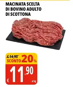Tigros Macinata scelta di bovino adulto di scottone offerta