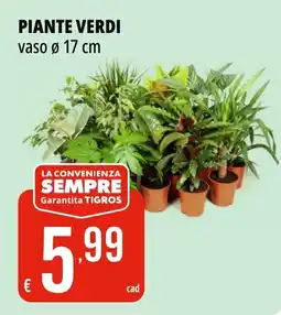 Tigros Piante verdi offerta