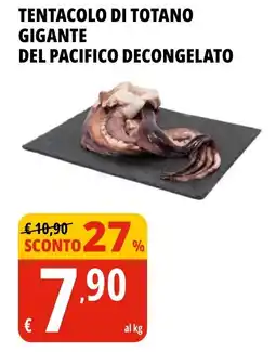 Tigros Tentacolo di totano gigante del Pacifico offerta