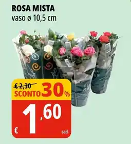 Tigros Rosa mista offerta