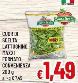A&O Cuor di Scelta lattughino maxxi offerta