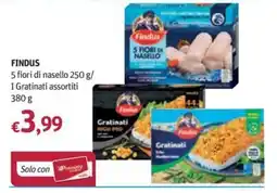 Futura Supermercati Findus 5 fiori di nasello offerta