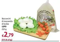 Futura Supermercati Bocconcini di mozzarella di bufala LUPO offerta