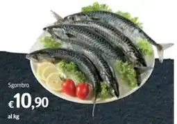 Futura Supermercati Sgombro offerta