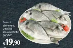 Futura Supermercati Orata di allevamento Orbetello senza antibiotici offerta