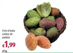 Futura Supermercati Fichi d'India calibro 18 padella offerta