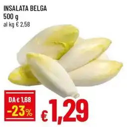 Galassia superstore Insalata belga offerta