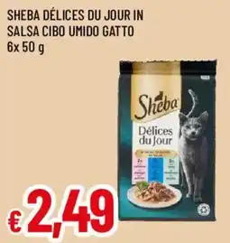 Galassia superstore Sheba Délices du Jour offerta