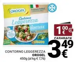 Supermercati Gulliver Contorno Leggerezza Orogel offerta
