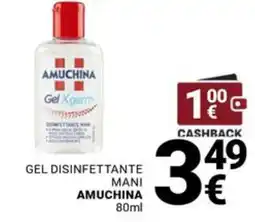 Supermercati Gulliver Gel disinfettante mani Amuchina offerta