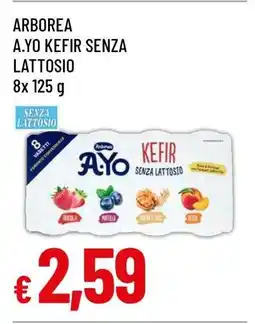 Famila ARBOREA A.YO KEFIR SENZA LATTOSIO offerta