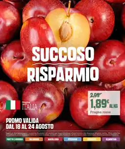 Banco Fresco Prugna rossa offerta
