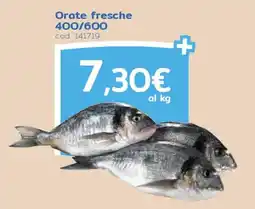 C+C Italmarket Orate fresche offerta