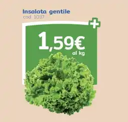 C+C Italmarket Insalata gentile offerta