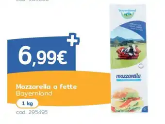 Mozzarella Bayernland