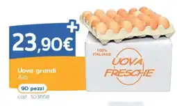 C+C Italmarket Uova grandi Aia offerta