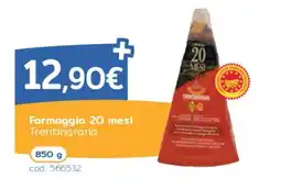 C+C Italmarket Formaggio 20 mesi Trentingrana offerta