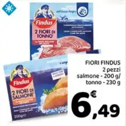 Conad Superstore Fiori Findus offerta