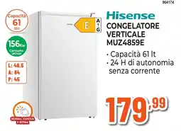 Expert Di Lella Hisense congelatore verticale offerta