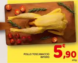Conad City Pollo Toscanaccio Intero offerta