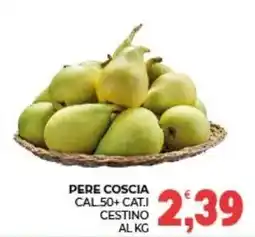 Eté Pere Coscia offerta