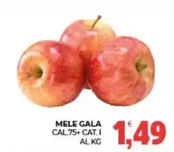 Eté Mele Gala offerta
