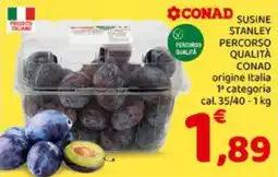 Conad City Susine Stanley offerta