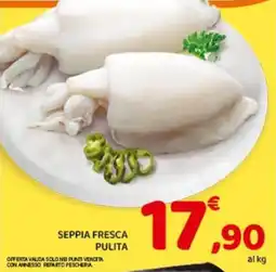 Conad City Seppia fresca pulita offerta