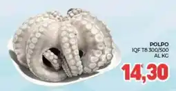 Eté Polpo offerta