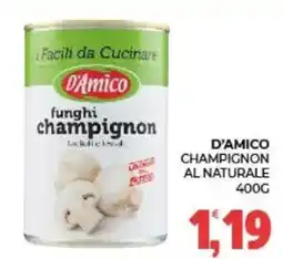 Eté D'Amico funghi champignon offerta