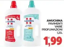 Eté Amuchina pavimenti offerta