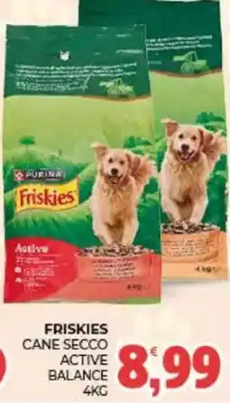 Eté Friskies cane secco active balance offerta