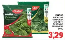 Eté Findus Bietoline Primavera offerta