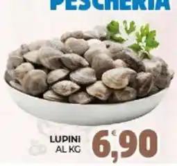 Eté Lupini offerta