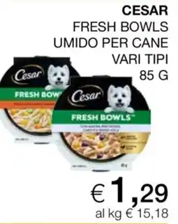 Coop Cesar Fresh Bowls umido per cane offerta