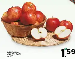 Extra Supermercati Mele Gala offerta