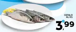 Extra Supermercati Cefalo offerta