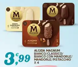 Extra Supermercati Algida Magnum offerta