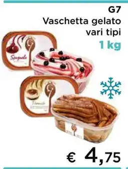 Coop G7 Vaschetta gelato vari tipi offerta