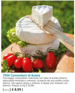 Bofrost Camembert di Bufala offerta