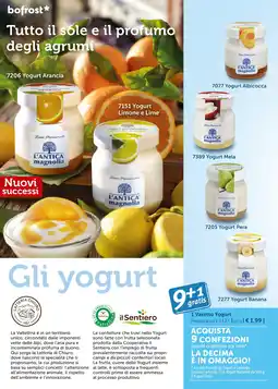 Bofrost Vasetto Yogurt offerta