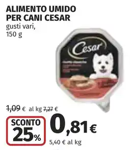 Coop Alimento umido per cani Cesar offerta