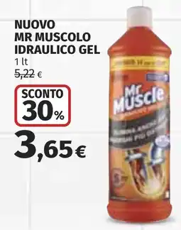 Coop Mr Muscle idraulico gel offerta