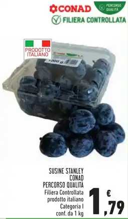 Conad Susine Stanley Conad offerta