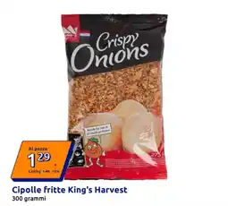 Action Cipolle fritte King's Harvest offerta