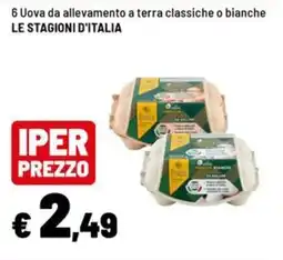 Iper La Grande Uova da allevamento a terra classiche o bianche LE STAGIONI D'ITALIA offerta