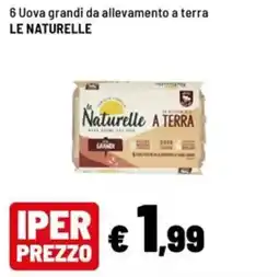 Iper La Grande Uova grandi da allevamento a terra Le Naturelle offerta