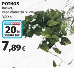 Coop Superstore Pothos offerta