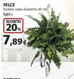 Coop Superstore Felce basket offerta
