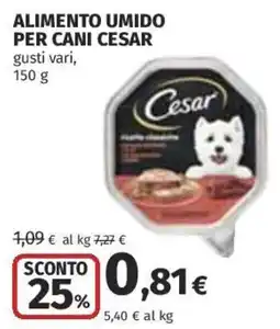Coop Superstore Alimento umido per cani Cesar offerta